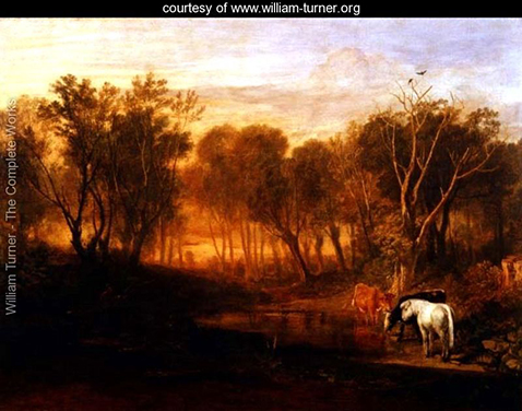 the-forest-of-bere-
