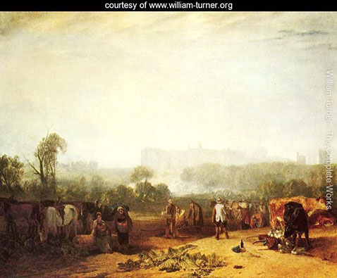 ploughing-up-turnips-near-slough-