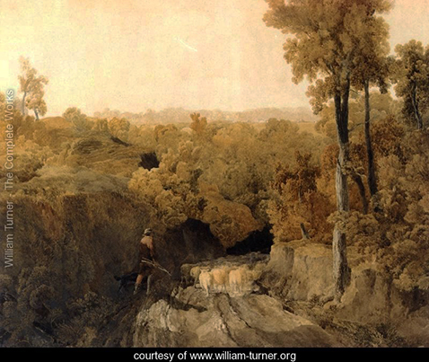 in-the-forest-of-wychwood-